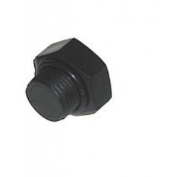 Valve protection - plastic plug