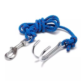 Double hook with carabiner