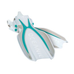 Plutvy Manta Ray