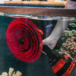 Nemo Accu Diving Brush