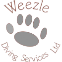 WEEZLE