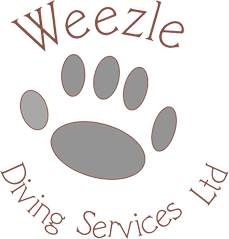 WEEZLE