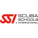 SSI International